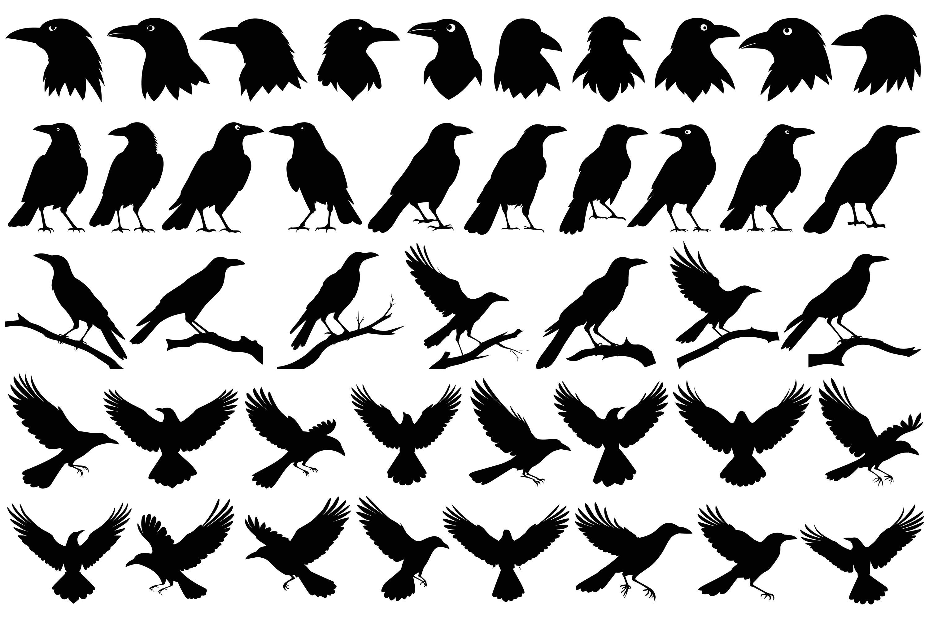 Crow Silhouettes, Crows SVG, Crow SVG Bundle, Crow Vectors, Crows PNG, Crow Clipart Bundle