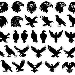 May include: A collection of 50 black and white silhouette images of eagles in various poses, including flying, perched, and with heads turned. The images are all in a simple, graphic style.