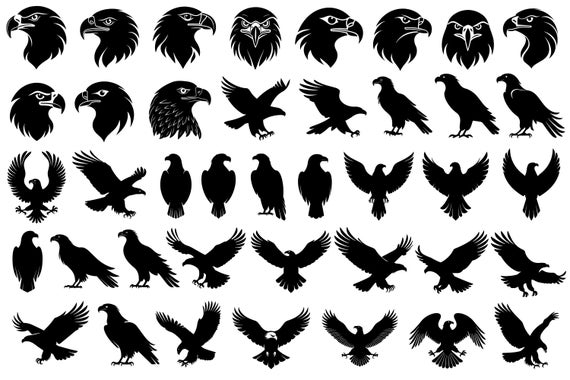 Eagle Silhouette Vector Bundle | Flying Eagle SVG Graphics