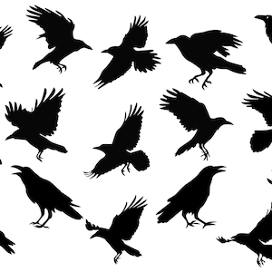Puede incluir: Siluetas de 15 cuervos en varias poses, incluyendo volando, posados y con las alas extendidas. Los cuervos son todos negros y están sobre un fondo blanco.