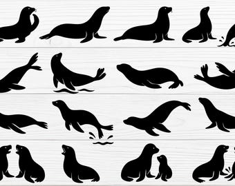 Sea Lion Silhouette SVG Clipart | 17 Vector Designs