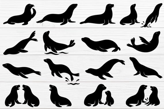 Sea Lion Silhouette SVG Clipart | 17 Vector Designs