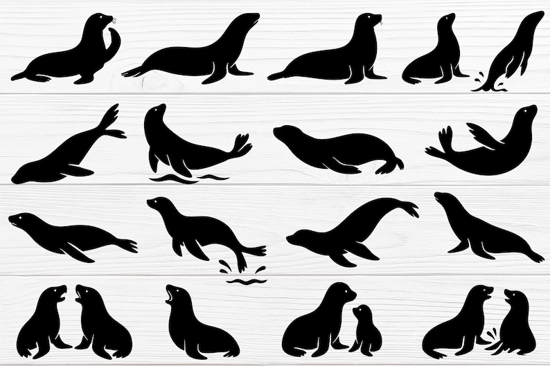 May include: A collection of black seal silhouettes in various poses, including swimming, resting, and interacting. The seals are depicted on a white wooden background, creating a contrasting visual.