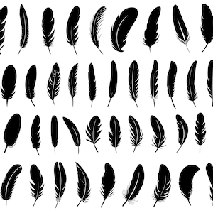 May include: A set of 48 black silhouette images of feathers. The feathers are of various sizes and shapes, with some having a more rounded tip and others having a more pointed tip.