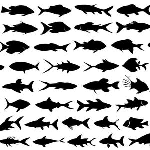 SVG-bundel vissen | 50 ontwerpen | Cricut-silhouet | Digitale download | Eps, jpg, png