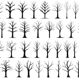 May include: A collection of 36 black silhouette images of bare trees with various branch shapes and sizes. The trees are isolated on a white background.