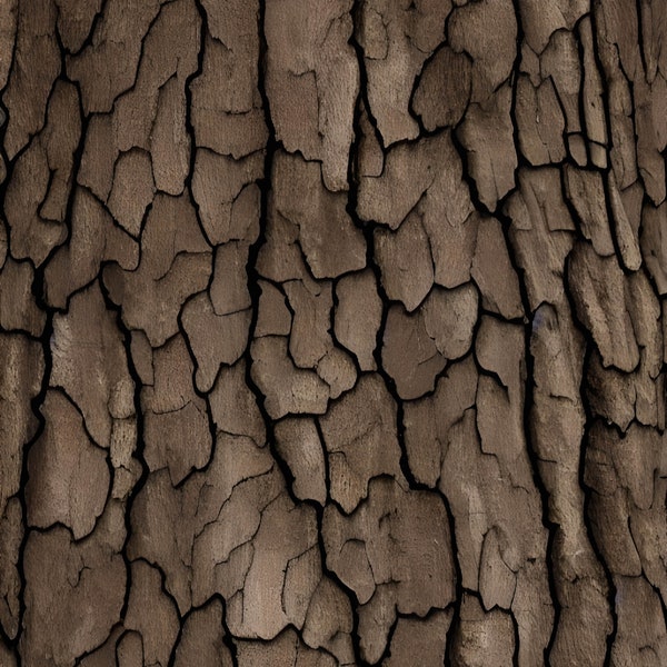 Corteccia d'albero, albero vivente, sfondo corteccia d'albero, carta da parati corteccia d'albero, studio naturale della corteccia d'albero, decorazione della corteccia d'albero, decorazione della parete dell'albero, stampa della corteccia d'albero