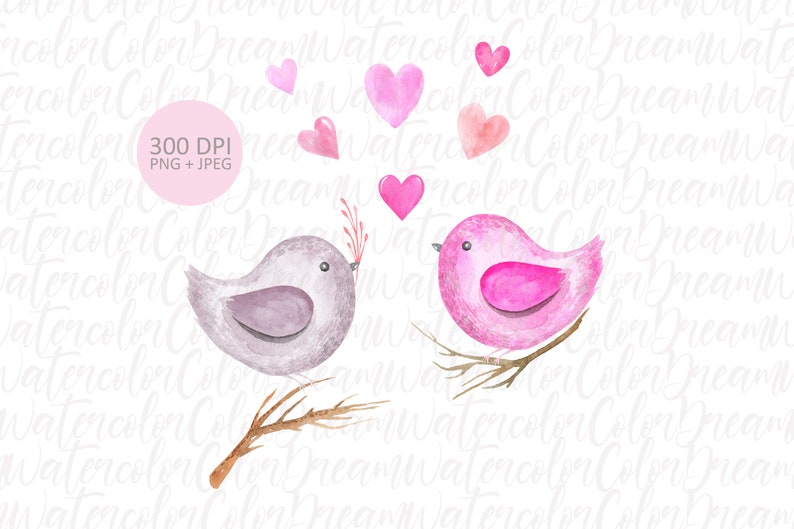 Love Birds Sublimation Printing PNG Digital download. Valentine/'s Day cartoon character Springtime bird couple watercolor clipart