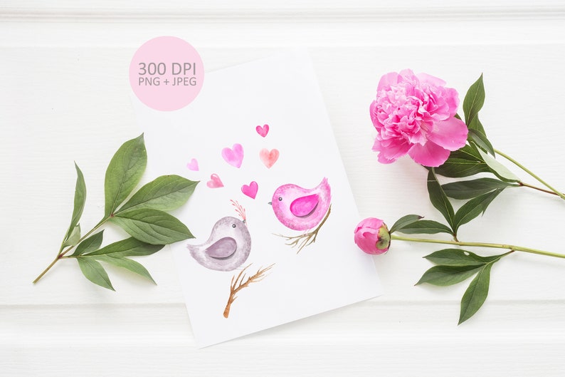 Love Birds Sublimation Printing PNG Digital download. Valentine/'s Day cartoon character Springtime bird couple watercolor clipart