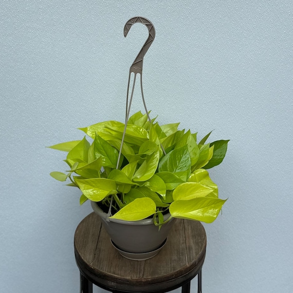 house plant fertilizer sticks Fertilizer Stick for Plants main image 1