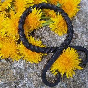May include: A black metal ring with a twisted design, surrounded by yellow dandelion flowers.