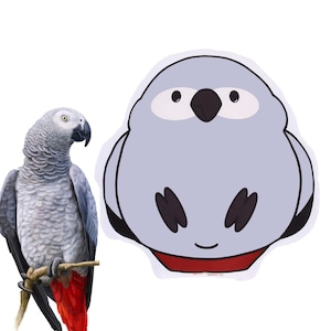 Pappagallo cenerino di peluche, Jacco, cuscino, cuscino, uccello, pappagallo, regalo Altezza 35 cm (13,80 pollici), Larghezza 34 cm (13,40 pollici)