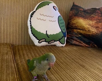 quaker parrot plush