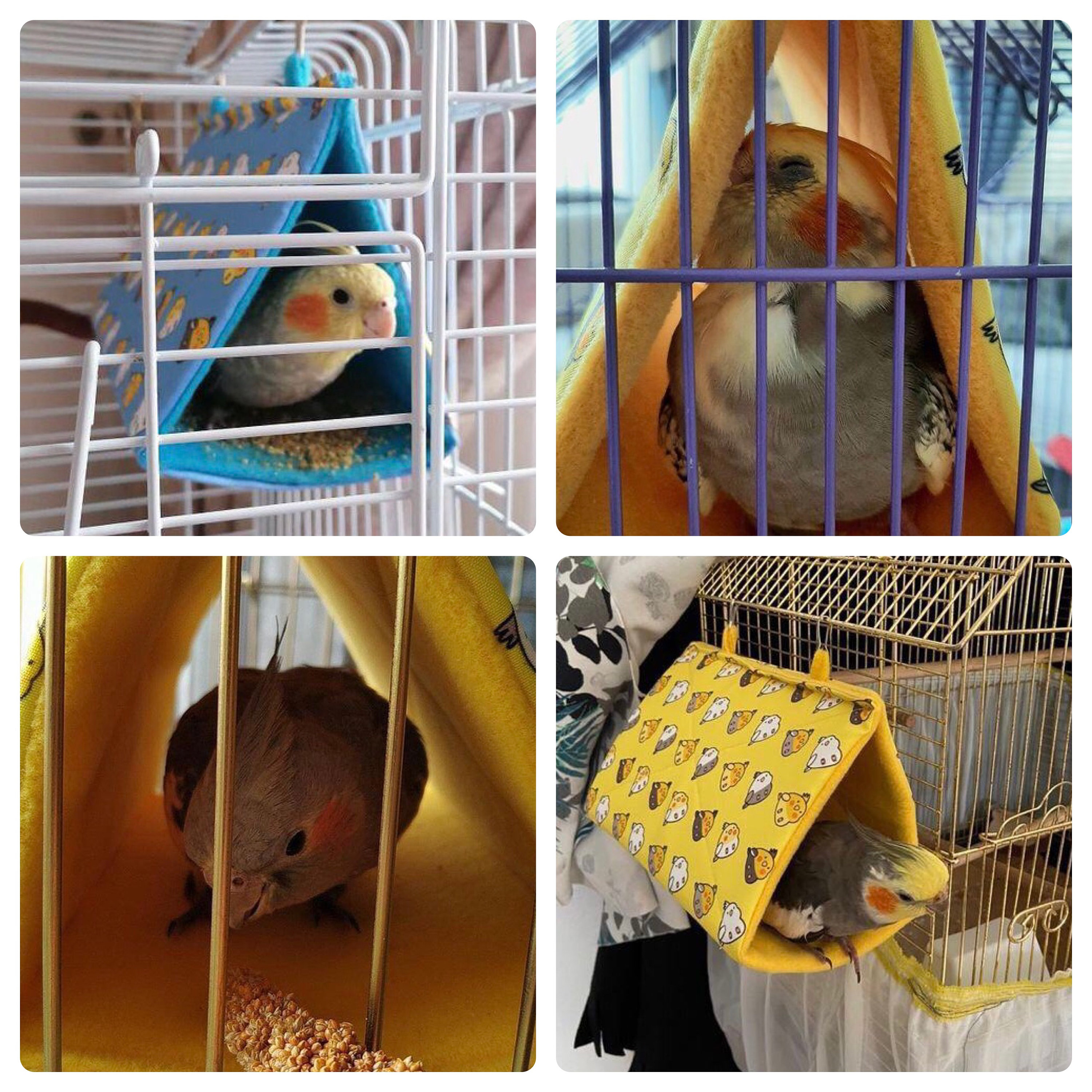 Cockatiel Bird Snuggle Hut Sleepy Hut Bird Tent Bird Etsy