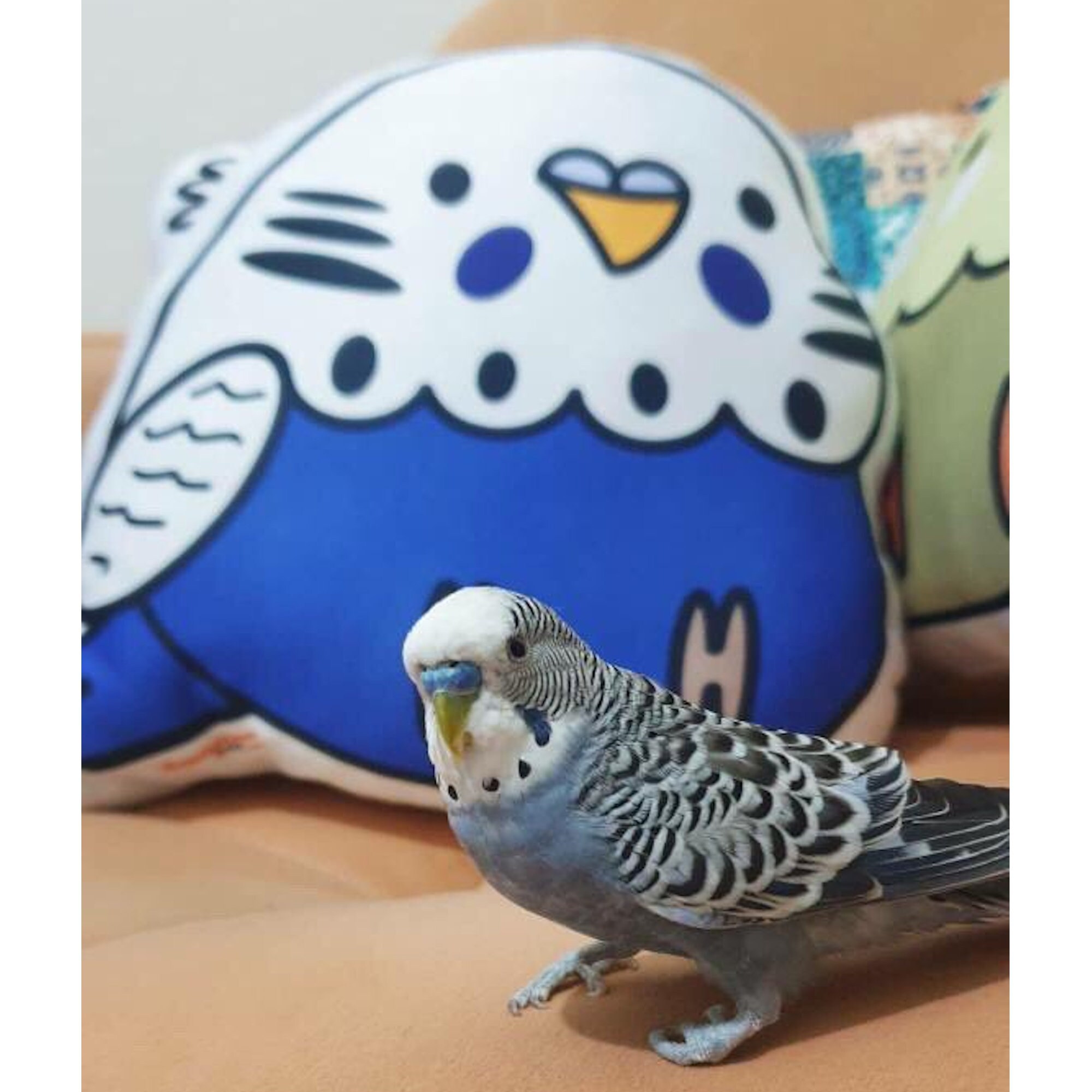 Budgie Plush, Budgerigar Pillow, Cushion, Parakeet, Bird, Parrot, Gift ...