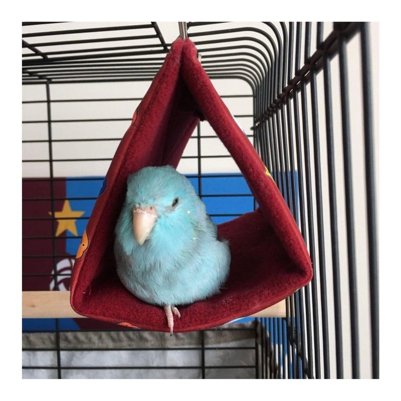 Forpus Coelestis, Pacific Parrotlet Snuggle Hut, Sleepy Hut, Bird Tent, Bird Bedding, Parakeet Plush Hut Hammock Cave Cage Cozy Hut image 2