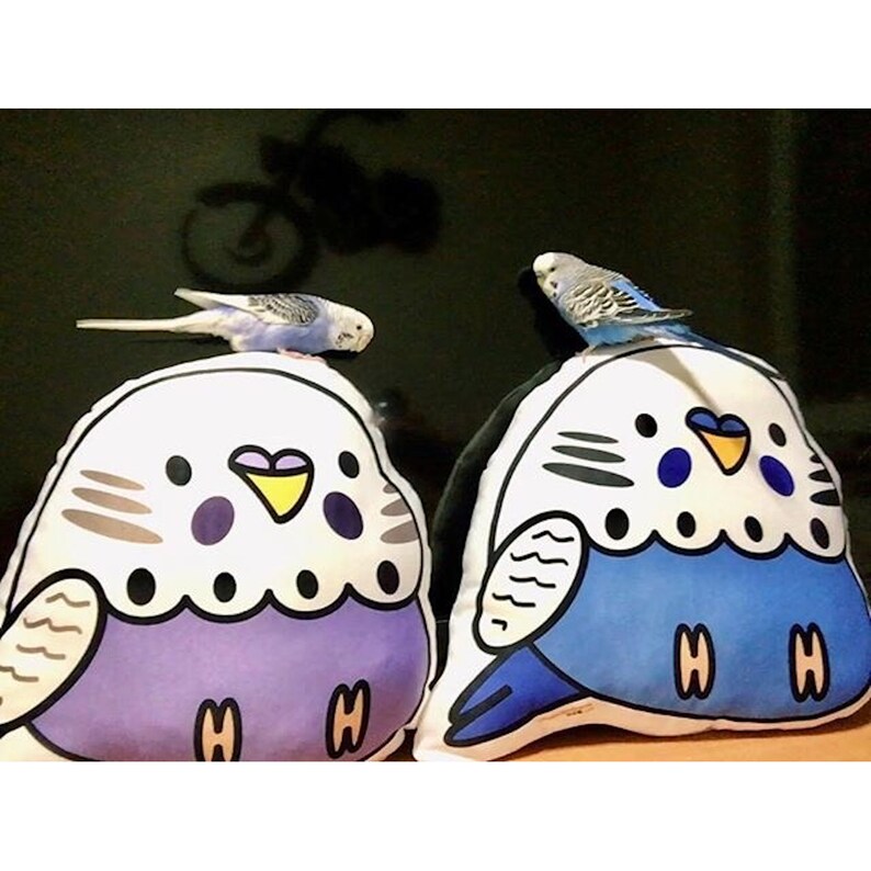 Budgie Plush, Budgerigar Pillow, Cushion, Parakeet, Bird, Parrot, Gift ...