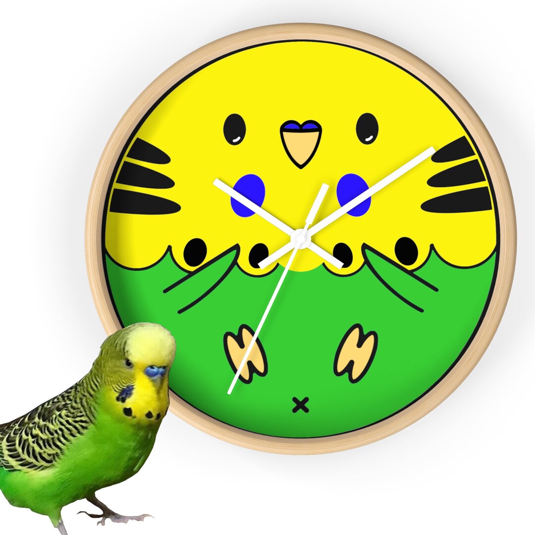 Budgie Wooden Wall Clock With Bird Design Different Colors Etsy