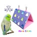 see more listings in the Pacific Parrotlet-Forpus section