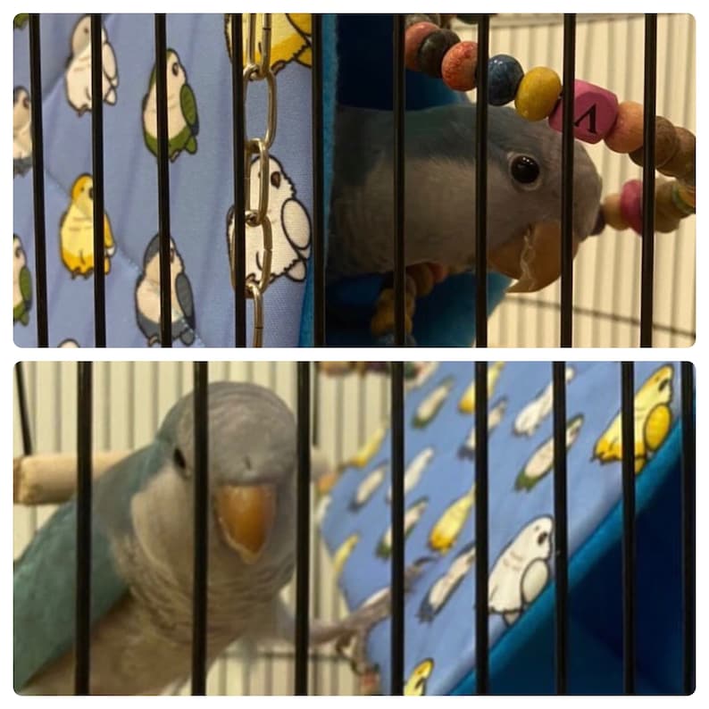 Quaker Parrot, Monk Parakeet, Bird Snuggle Hut, Sleepy Hut, Bird Tent, Bird Bedding, Plush Hut Hammock Cave Cage Cozy Hut image 3