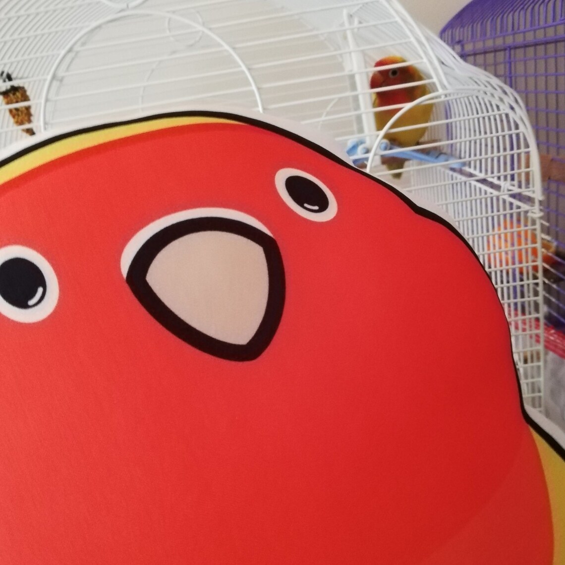 lovebird plush