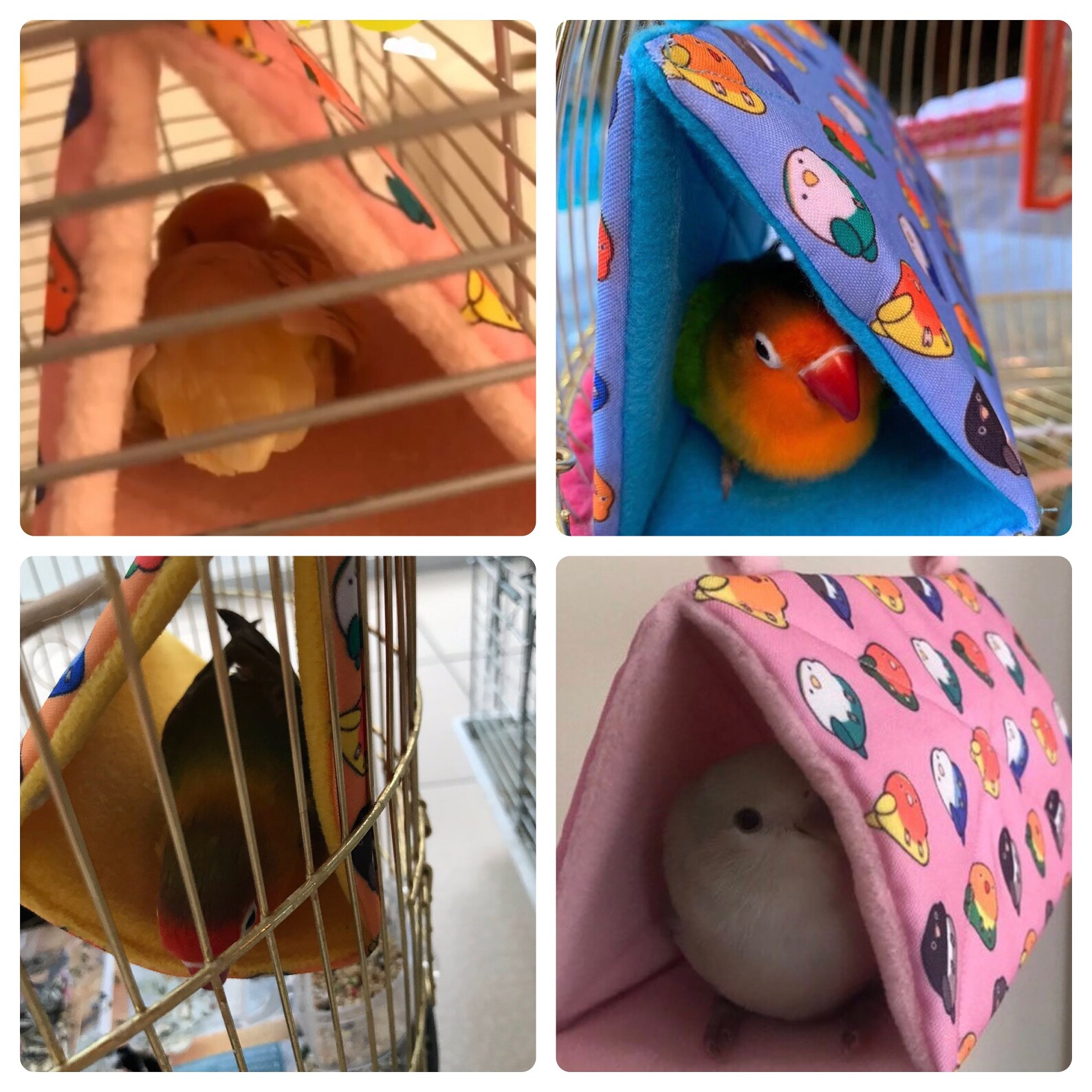 Lovebird Bird Snuggle Hut Sleepy Hut Bird Tent Bird Etsy