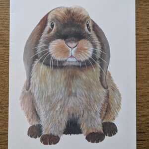 Leuke wenskaart van een lief konijntje-illustratie-konijn