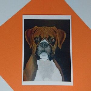 Leuke wenskaart met een hoopvol kijkende boxer hond image 4