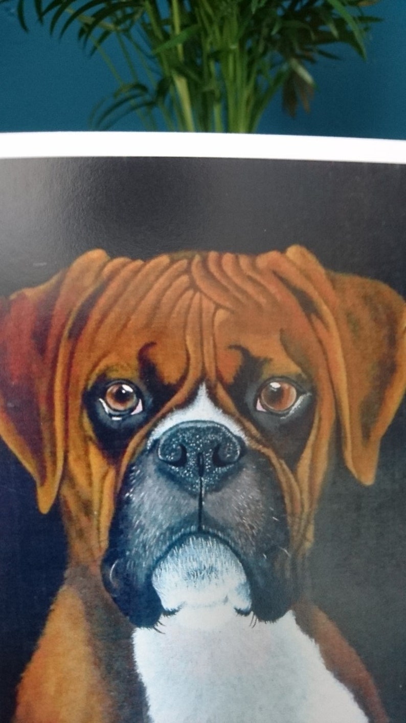 Leuke wenskaart met een hoopvol kijkende boxer hond image 3