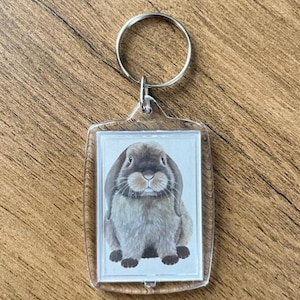 Sleutelhanger conoció a un bruin konijn