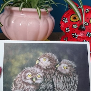 Een leuke wenskaart conoció a drie kleine uiltjes op een tak