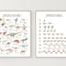 Dinosaur Flash Cards Printable ABC Cards Alphabet Cards - Etsy