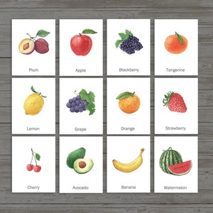 18 Fruit Flashcards, Fruit kaarten, Homeschool Decor, Kids Room Deco