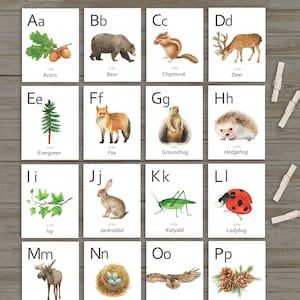 Woodland Flash Karten, Druckbare ABC Karten, Alphabet Karten, Kinderzimmer Dekor, Lernen Home School, Vorschule