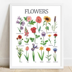 Bloemenkaart afdrukbaar klaslokaal, leren thuisschool, poster kleuterschool, thuisschoolafdruk, aquarel afdrukbaar kinderkamerdecor