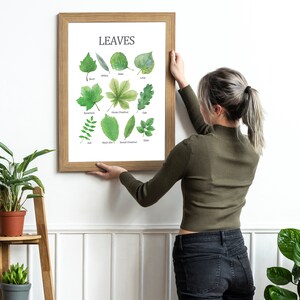 Leaves Prints, Educational Printable Wall Art, Learning Home School, Preschool Poster, Homeschool Decor, Classroom Decor