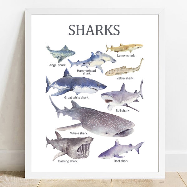 Sharks Wall Art, Sharks poster, Kids Children Learning, Homeschool poster, Nursery decor, Learning Home School, Preschool Poster