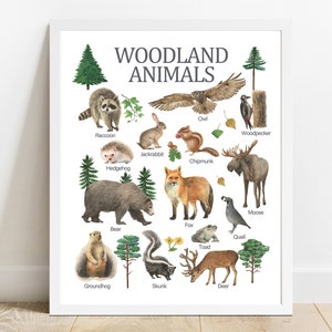 Arte mural de animales del bosque, póster de animales, aprendizaje infantil, póster de pintura, decoración infantil, aprendizaje en casa y escuela, póster preescolar