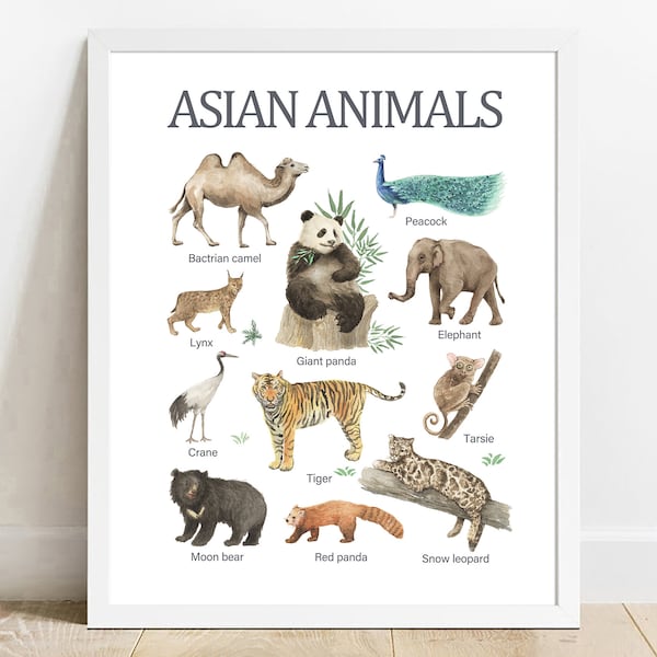 Asian Animals, Educational Printable Wall Art, Learning Home School, Preschool Poster,Homeschool Print, Watercolor printable nusery decor