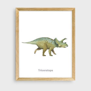 Dinosaur Triceratops Watercolor Prints, Nursery Wall Art, Dinosaur Nursery Printables,Nusery Decor, Kids Room Decor