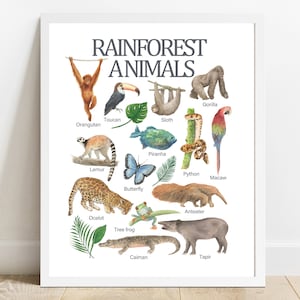 Animales de la selva tropical, arte mural educativo imprimible, aprendizaje en casa, impresión para la educación en casa, decoración de guardería imprimible en acuarela