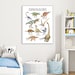 Dinosaurs Wall Artdinosaurs Poster Kids Children Learning - Etsy Canada