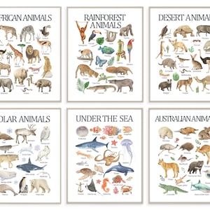 Animals set 6, Educational Printable Wall Art, Learning Home School, Homeschool Print, Watercolor nusery decor