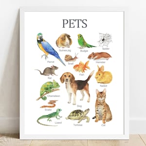 Animales, Arte mural imprimible educativo, Aprendizaje en casa, Escuela, Póster preescolar, Impresión de animales, Perro, Gato, Camaleón