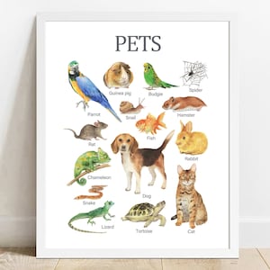 Pets Animals, Educational Printable Wall Art, Learning Home School, Preschool Poster, Animals Print, Dog, Cat, Chameleon