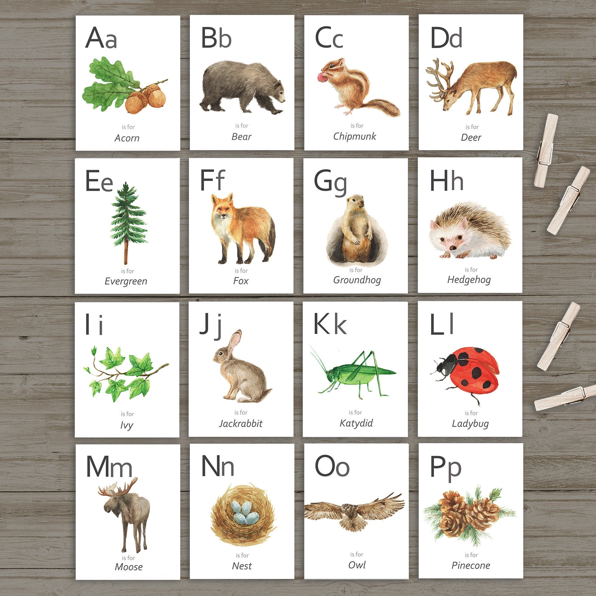 Woodland Alphabet Cards Woodland Alphabet Cards