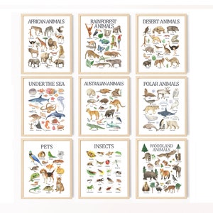Conjunto de 9 animales, arte mural imprimible educativo, aprendizaje en casa y escuela, impresión para la educación en el hogar, decoración de guardería con acuarela