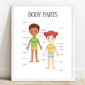 Body Parts Print, learn about the body poster, Printable Educational Poster, Learning Home School, Preschool Poster, Homeschool Print