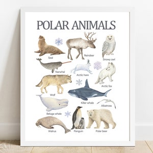 Animales polares, arte mural educativo imprimible, aprendizaje en casa y escuela, póster preescolar, impresión para educación en casa, decoración infantil imprimible en acuarela