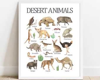 Desert Animals Educational Printable Wall Art Learning Home - Etsy Desert Animals Educational Printable Wall Art Learning Home - Etsy